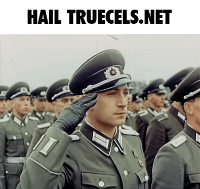 1784041276378.png