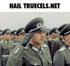 1784041276378.png